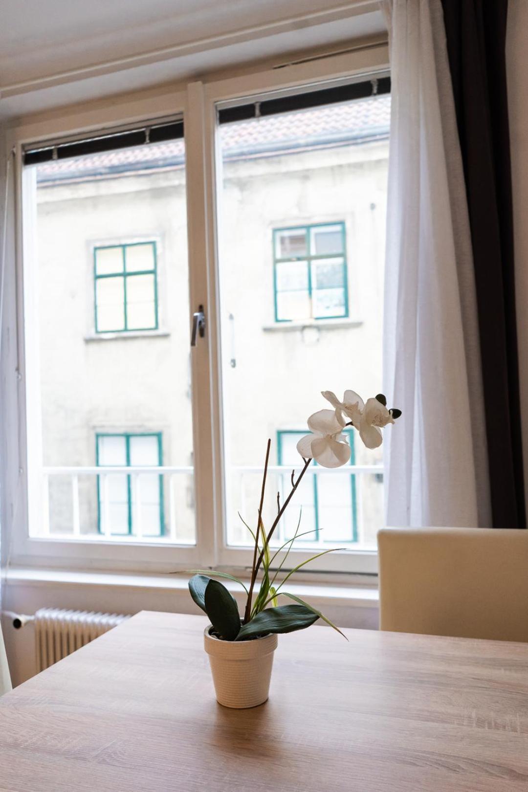 וינה Central Living - Stephansdom Apartments חדר תמונה